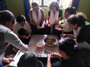 Himalyan Komang Home