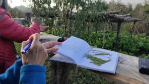 Diario de viaje durante el trekking Nepal