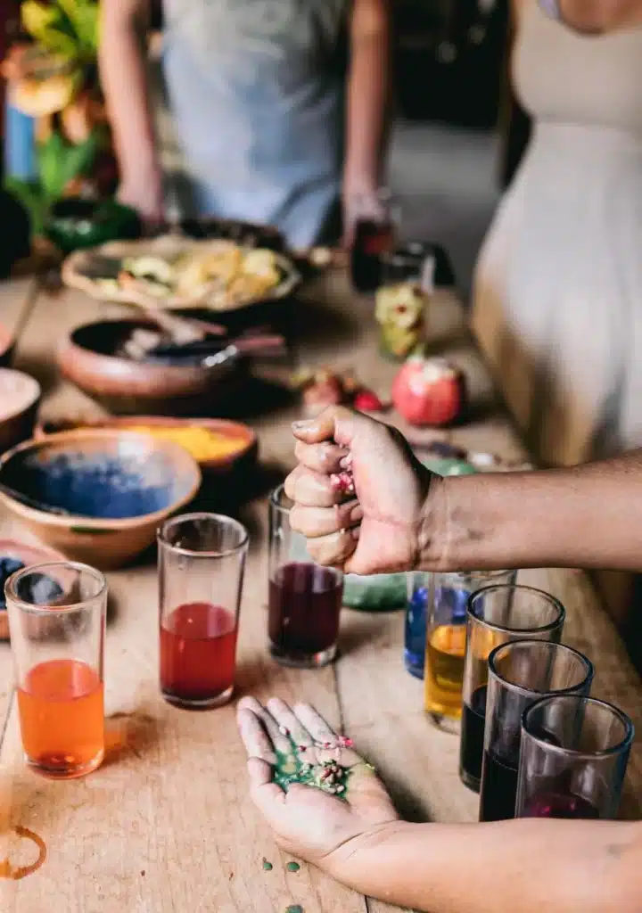 Viajes Alternativos Hacia lo Salvaje