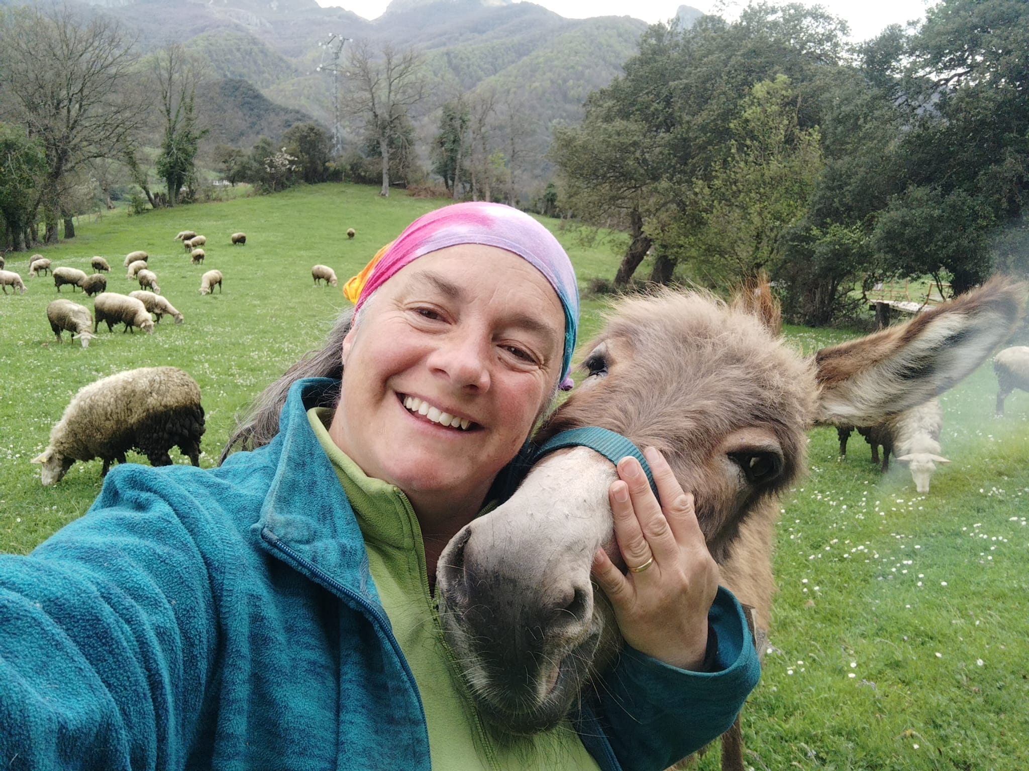 Ganadería Extensiva Pily Hacia lo Salvaje