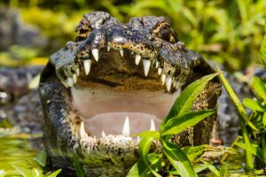 WhatsApp Image 2022-12-14 at 1.49.31 PM