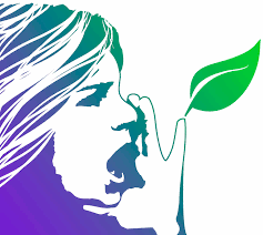 Curso Ecofeminismo recomendado Hacia lo Salvaje