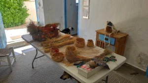 regalo original y sostenible Hacia lo Salvaje