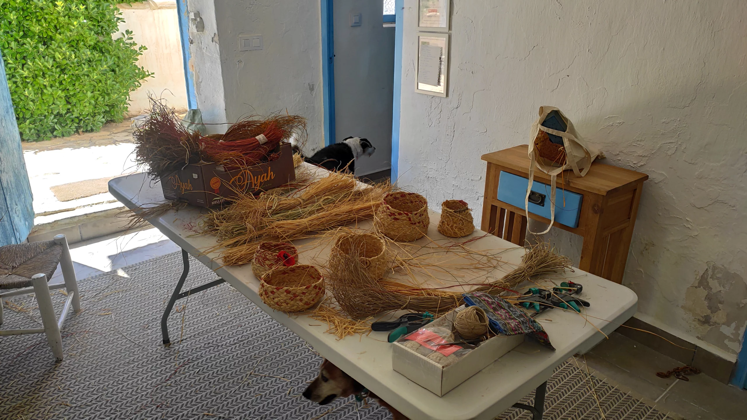 regalo original y sostenible Hacia lo Salvaje