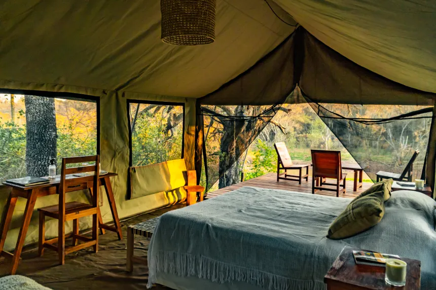 Alojamiento Hacia lo Salvaje Argentina Rewilding