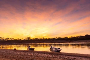 Argentina Rewilding Hacia lo Salvaje
