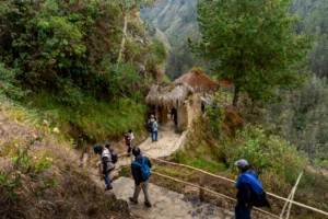 Caminar Perú Hacia lo Salvaje
