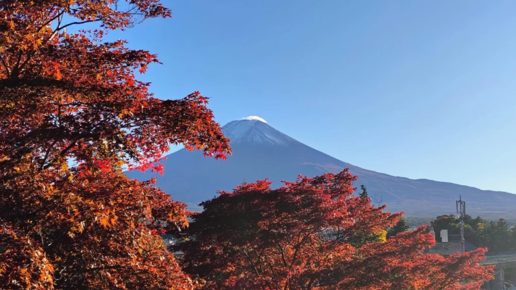 Japón con Irene Saki en Otoño