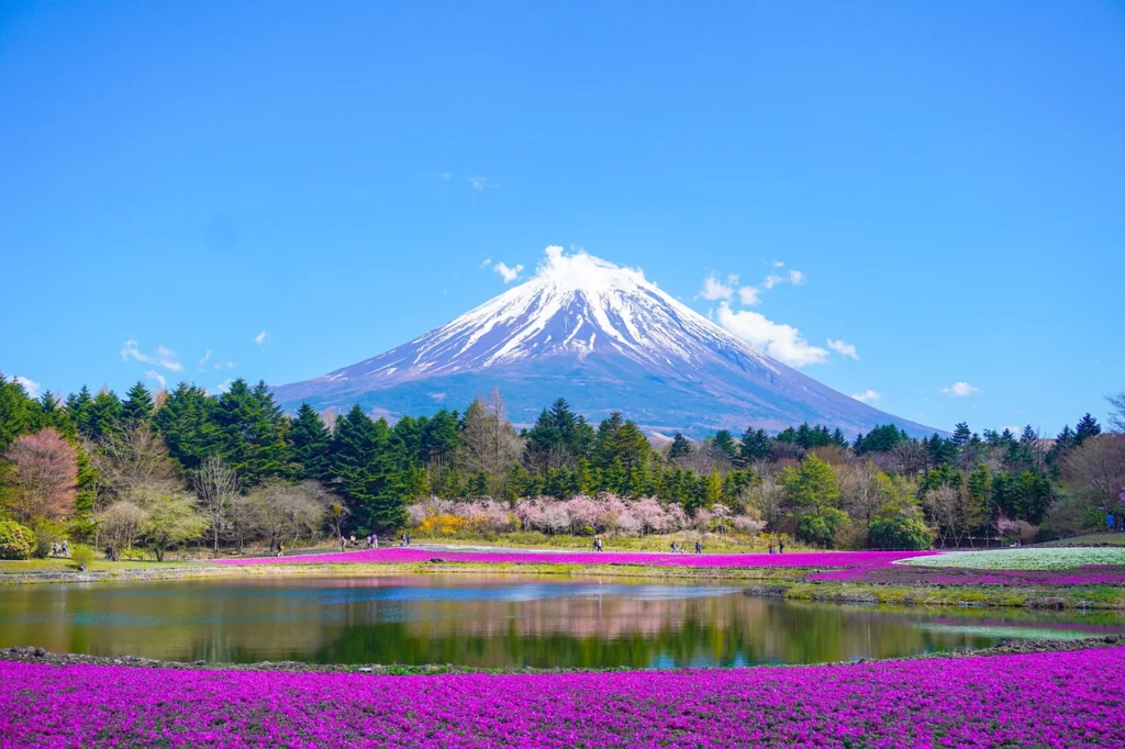 Viaje a Japón organizado hacia lo salvaje