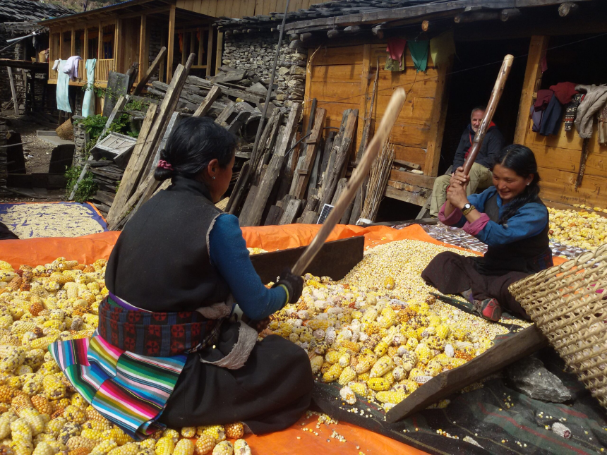 Viaje a Nepal organizado hacia lo salvaje