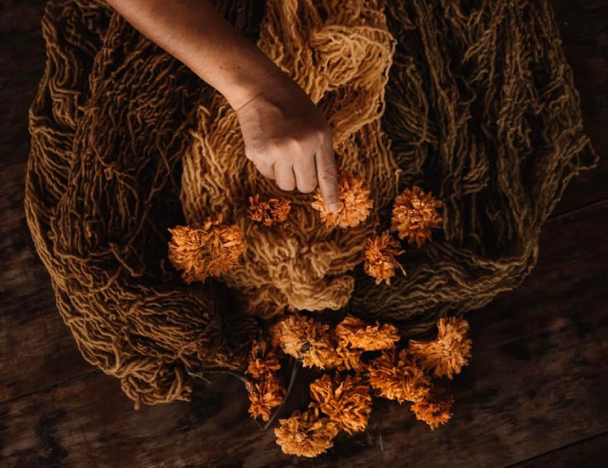 méxico guardianas de la tierra