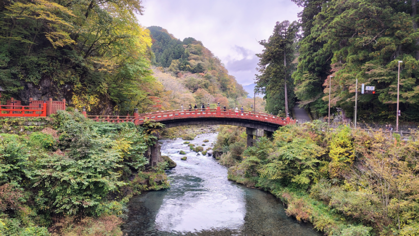 viaje organizado a japón en primavera hacia lo salvaje
