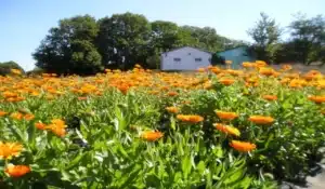 viaje cicloturismo Galicia julio mujeres