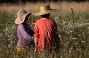 viaje de cicloturismo por Galicia para mujeres en A Ulloa
