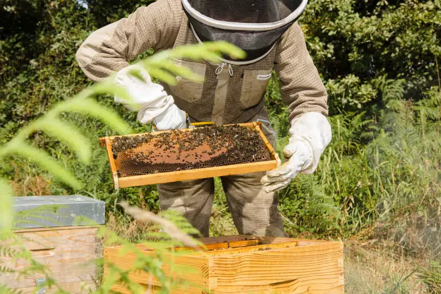 viaje de cicloturismo por Galicia para mujeres en A Ulloa