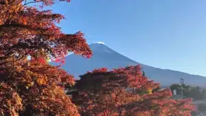 Japón en otoño