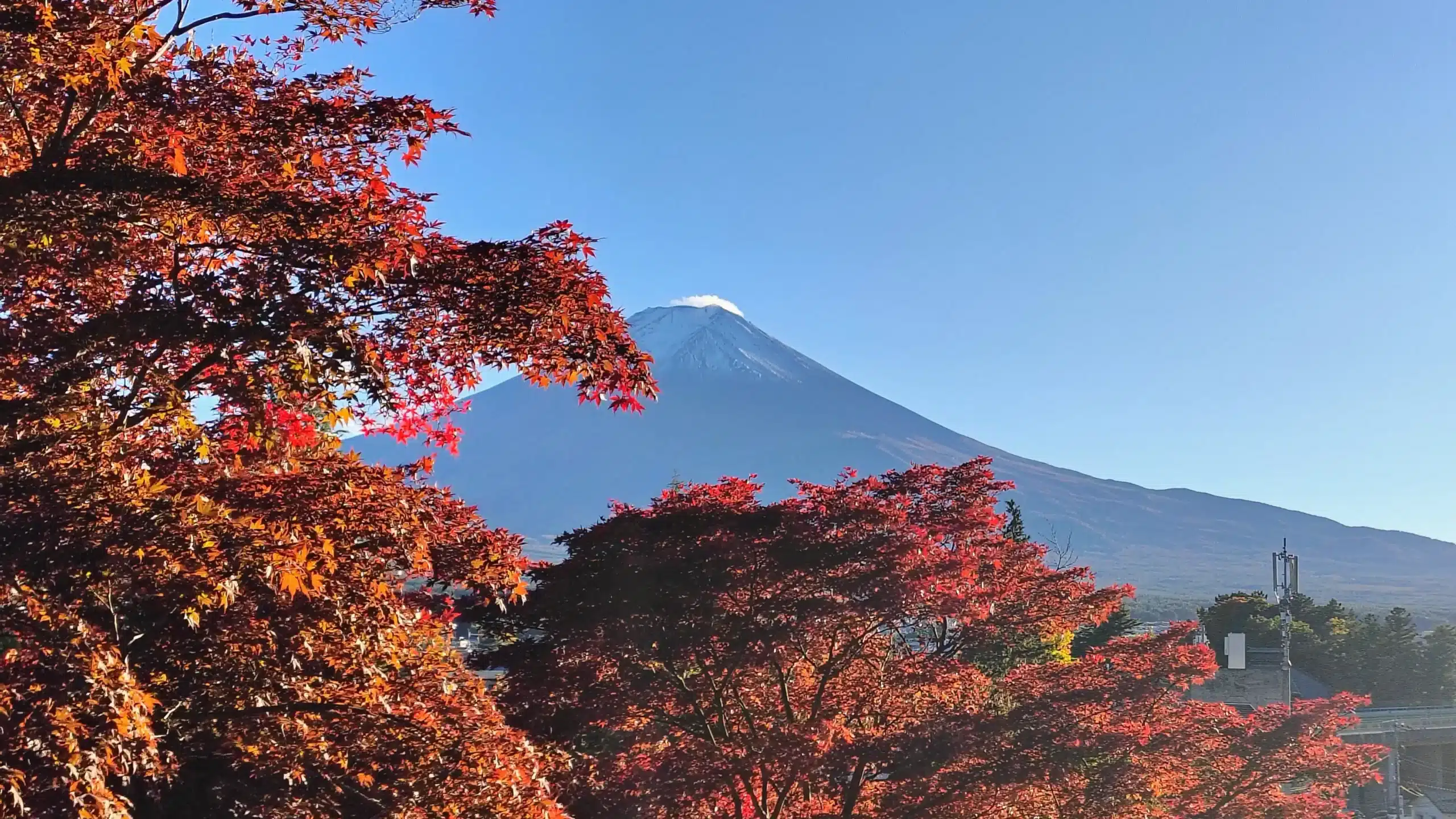 Japón en otoño